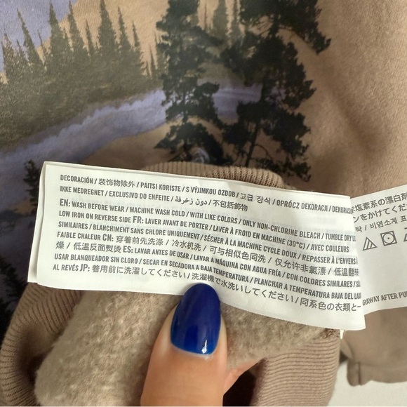 Hollister Tan Relaxed Fit Lake Tahoe Crewneck Sweater Mens Size Large Cabincore - Picture 8 of 8